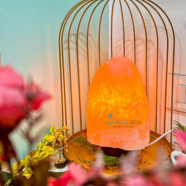 Pink Salt Natural Shape Lamp.